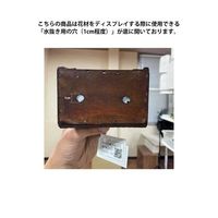 アズワン 木製トランクボックス ブラウン L 68-0949-97 1個（直送品）