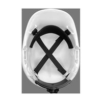 アズワン アークフラッシュ防護ヘルメット 68-4536-22 1個（直送品）