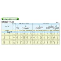 テザック ブルースリング IVE(両端アイタイプ) 4E250X2.5 1本（直送品）