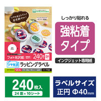 丸シール ラベルシール フォト光沢紙 強粘着 A4 24面 10シート ホワイト EDT-TWGK24R エレコム 1個