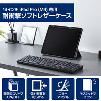 13インチ iPad Pro (M4) ケース レザー 手帳型 フリーアングル ブラック TB-A24PLSABK エレコム 1個