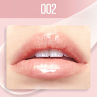 メイベリン リフターシャイン 002 アイシーピンク