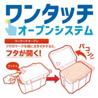 ジェフコム スケルトンミニ小箱 SP-PA-18C 1個