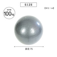 武田コーポレーション ノンバーストフィットネスボール75 NBF-75GRY 1箱(12個入)（直送品）