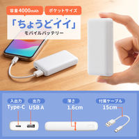 サンワサプライ モバイルバッテリー(4000mAh) BTL-RDC35W 1個