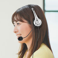 サンワサプライ USBTypeCヘッドセット MM-HSTC03SV 1個