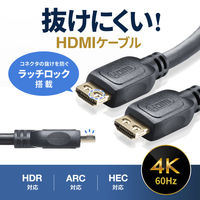 サンワサプライ ラッチ付HDMIケーブル(10m) KM-HD20-P100L 1個