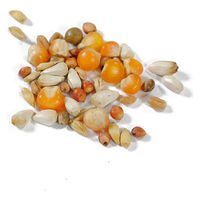 ハトのごはん 1kg 3袋 鳥 フード 餌 えさ 種 穀類 ペットプロ