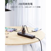 VOLTME USB充電器 30W TypeC+15W TypeA 折りたたみ式 V2097 1個