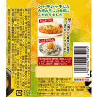 ゆずぽん酢おろし 152g 1個 エスビー食品 国産大根・ゆず 大容量 チューブ S＆B