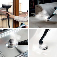 蔵王産業 CLEAN SELECT スチームクリーナー ハンディタイプ HSC-25 1台