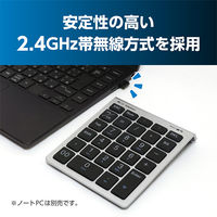 ナカバヤシ 2.4GHz接続ワイヤレステンキー TEN24G03/SL 1個