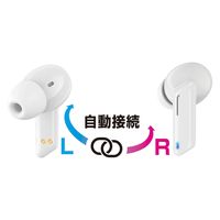 カシムラ 完全ワイヤレスイヤホン BL-114 1台