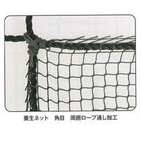 グリーンクロス 養生ネット エステル30mmグリーン(2200T/5) 5x5m KT-60R-5G 1枚（直送品）