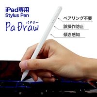 スタイラスタッチペン iPad専用 傾き感知 誤操作防止 ペアリング不要 USB Type-C充電 1本 スリーアール