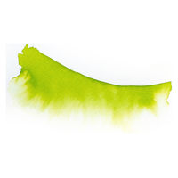 エルバン エクラ 50ml ウォーターカラーインク アニスグリーン hb16530 1個