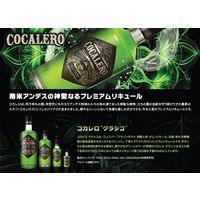 コカレロ クラシコ 29度 700ml 1本 国分 リキュール