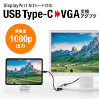 サンワサプライ USB Type C-VGA変換アダプタ AD-ALCV02 1個（直送品）