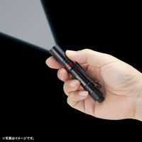 サンワサプライ ペン型ライト(ショートタイプ) LED-PEN2BK 1個（直送品）