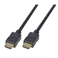 HDMIケーブル 1m 4K30Hz EB-HDMI010GAGA-B 1本 Vodaview