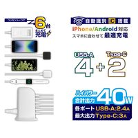 カシムラ AC充電器 USB-A×4&Type-C×2 AC-044 1台