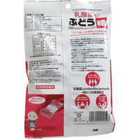 大丸本舗 乳酸菌入り ぶどう糖 2g×20粒 1袋(20粒)