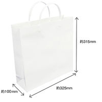 エヒメ紙工 ラミネートバッグ小 白 PPS-WH 1枚