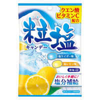 塩分補給 キャンディー 個包装 粒塩キャンデー 塩サイダー味&塩レモン味 2種アソート 10袋 扇雀飴本舗