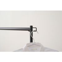 アイリスオーヤマ スタイルハンガーハード ダブルタイプ PI-H2R 1台