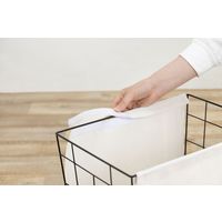 アイリスオーヤマ ワイヤーバスケット WIB-38 1個