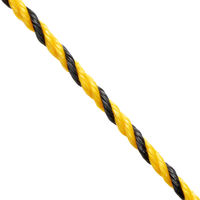 丸紅フォレストリンクス トラロープ#9 50M 1巻 オリジナル