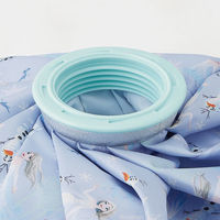 スケーター ICB2 アイスバッグ(氷のう) M 【アナと雪の女王 2】 676277-ICB2 1個