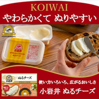 小岩井乳業 [冷蔵] 小岩井 ぬるチーズ 90g×12個 4972050015111 1セット(12個)（直送品）