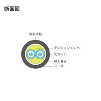 ダイヤトレンド DFC-MM(OM3)DLCSC-RMV21(46M) 1本（直送品）