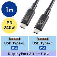 サンワサプライ USB40Gbps（USB4 Gen3）Type-C ケーブル KU-40GCCPE10 1本