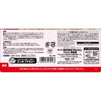 ミニマルランド 小動物用 果実って小枝 りんご お徳用 1袋（20本入）マルカン 小鳥 おやつ