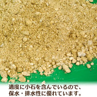 昭光物産(株) 山砂(真砂土) 約15kg 511303 1セット(2袋)（直送品）