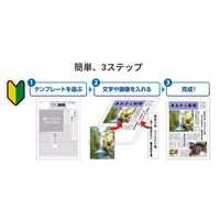 ソースネクスト パーソナル編集長 Ver.16 0000342190 1本