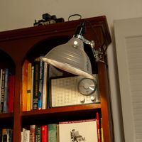 アルミニウム クリップ ランプ M アルミ DS-0630M/AL DULTON/ダルトン