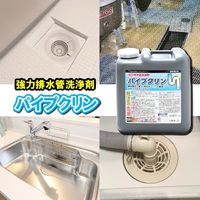 パイプクリン 強力排水管洗浄剤 4L 1本 ラグロン