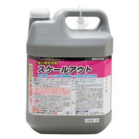 スケールアウト 強力酸性洗剤 4L 1セット（1本×4） ラグロン
