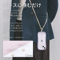 MSソリューションズ 挟み込みシート2枚セット クリア/ゴールド LN-SH01SCLGD 1個