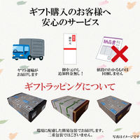 日本ハム ハムギフト 北海道 プレミアム 美ノ国 UKH-58 のし付き お中元 901046926 1セット（直送品）