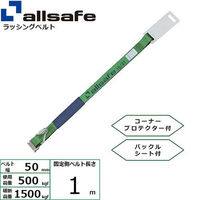 オールセーフ ワンヒ&フック(固定側) H-TPN1-K 黒 1M 142273-3001 1セット(10個)（直送品）