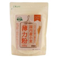 創健社 国内産小麦 薄力粉 チャック付 300g 1セット（1個×2）