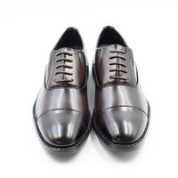 東邦レマック ケンコレ 生活防水 内羽根レースアップ ビジネスシューズ 5002D ブラウン 24.5cm  1足（直送品）