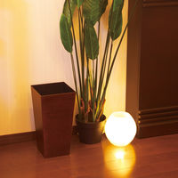 橋本達之助工芸 ユーロスタイル ダストボックス L 角 9.5L 木目 ゴミ箱 くず入れ 4932903148946 1個