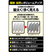 トップシェード 増毛感覚スプレー スピーディーヘアー カバースプレー ラージ 自然な黒色 250g 柳屋本店