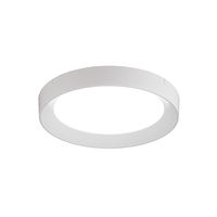 アイリスオーヤマ 薄型小型シーリングライト 導光板フレームタイプ 750lm 昼光色 SCL75D-DU 1個