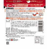 新宿中村屋 ミニカリー ビーフ 1人前・100g 1個 レトルト